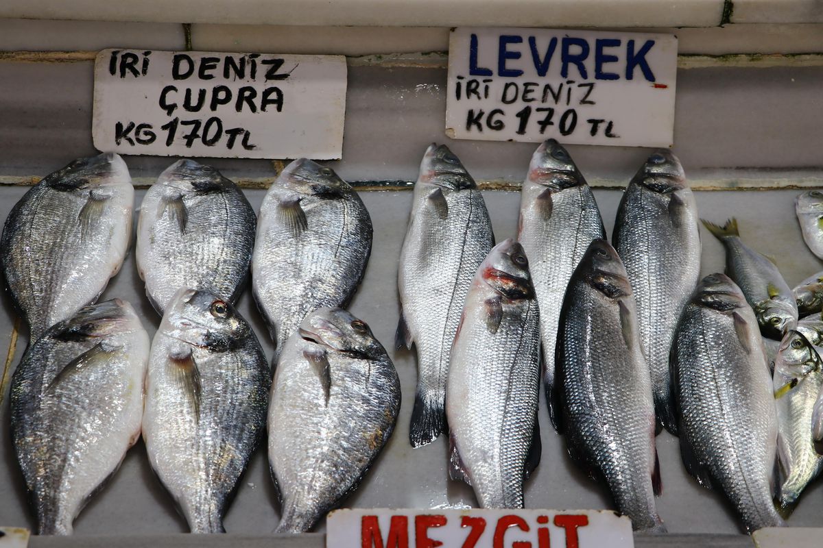 Tekirdağ\'da balıkçılar sis nedeniyle denize açılamayınca balık fiyatları arttı