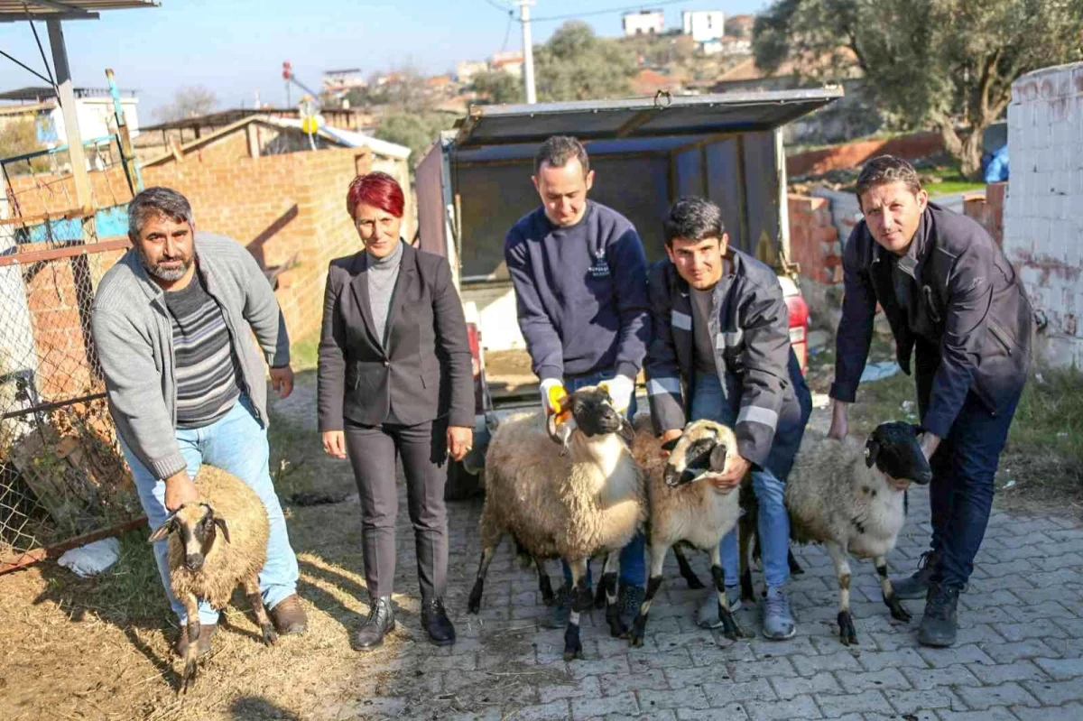 Başkan Çerçioğlu koyunları telef olan üreticiye destek oldu