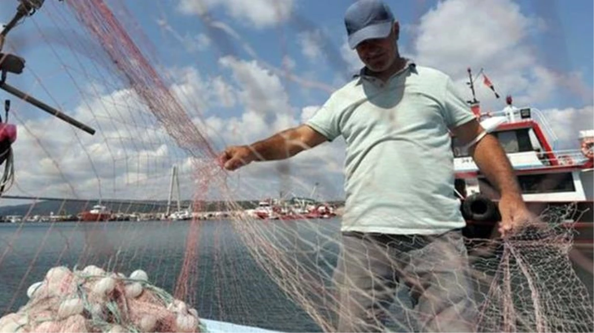 İstanbul Boğazı\'nda yaşanan denizanası yoğunluğuna uzman yorumu: Mevsim normallerinin üzerinde yaşanan sıcaklıklar en büyük etken