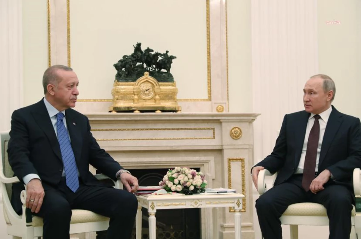 Cumhurbaşkanı Erdoğan, Ukrayna Devlet Başkanı Zelenskiy ile telefonda görüştü