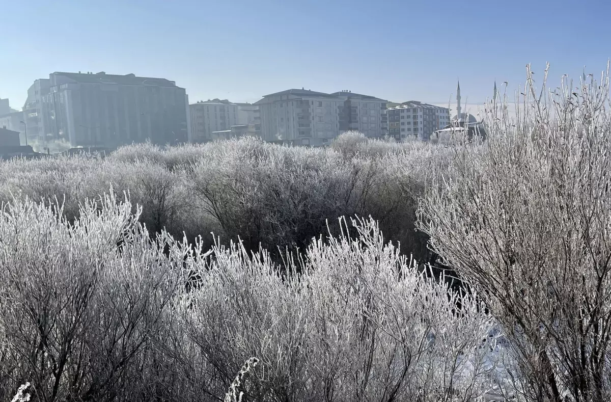 Doğu Anadolu\'da dere ve göletlerin yüzeyi buzla kaplandı