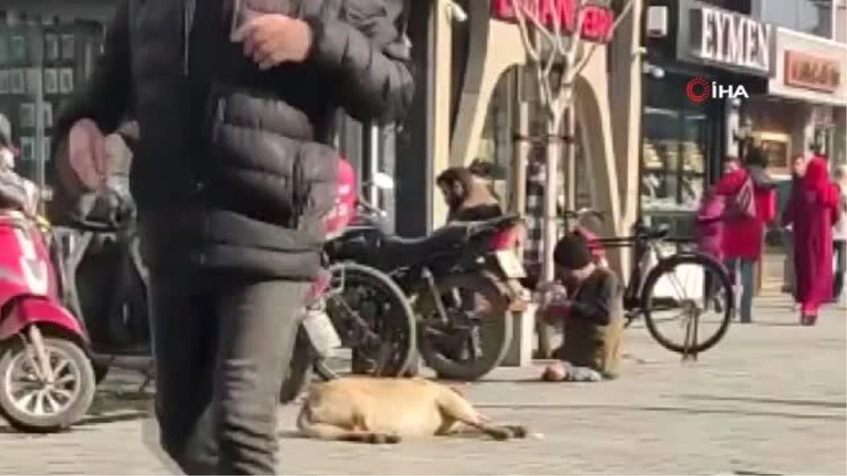 Düzce Zabıtası dilencilere göz açtırmıyor