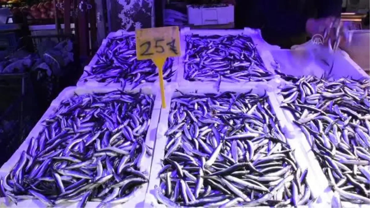 Hamsinin kilogramı 25-50 liradan satılıyor
