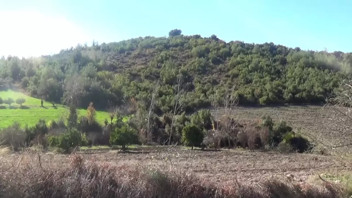 Osmaniye Sumbas Köylüleri, Ektileri Arazilerin 2/B Kapsamına Alınmasını İstedi: "Evlerimiz Yıkılırsa, Tarlalarımız Elimizden Alınırsa, Biz Ne Yiyip...