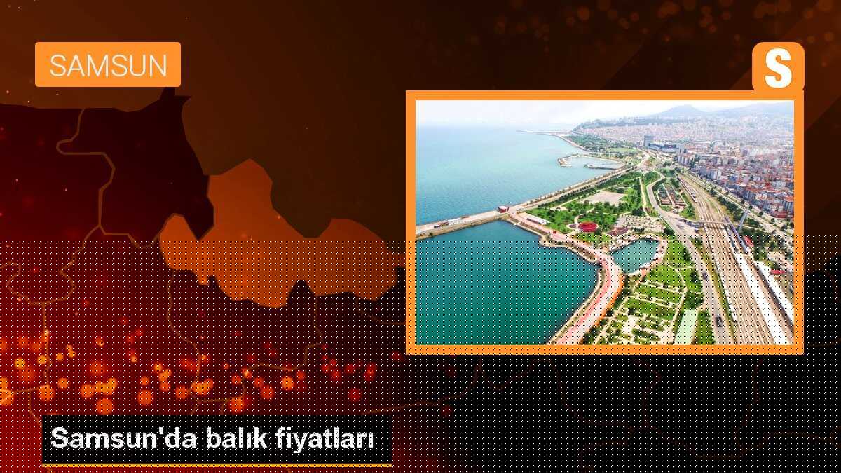 Samsun\'da balık fiyatları