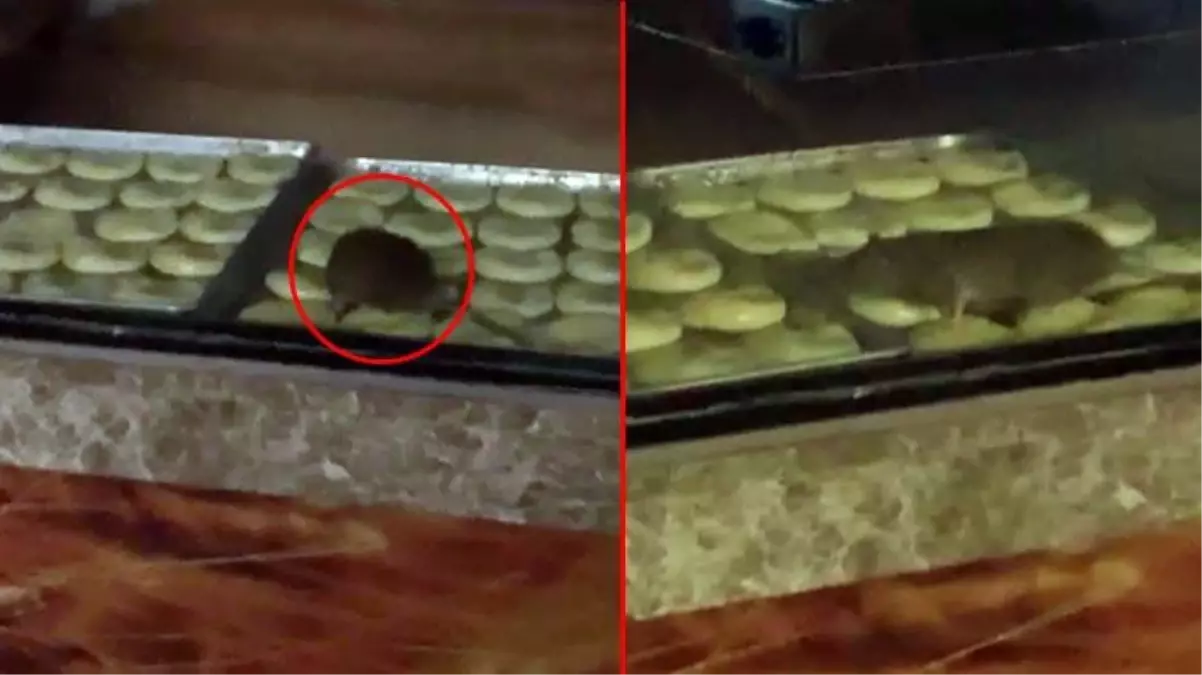 Mide bulandıran görüntülerin çekildiği fırına ceza kesildi