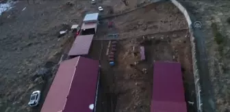 (TEKRAR) KARS - Kullanılmayan ahır sahipsiz hayvanlar için barınağa dönüştürüldü