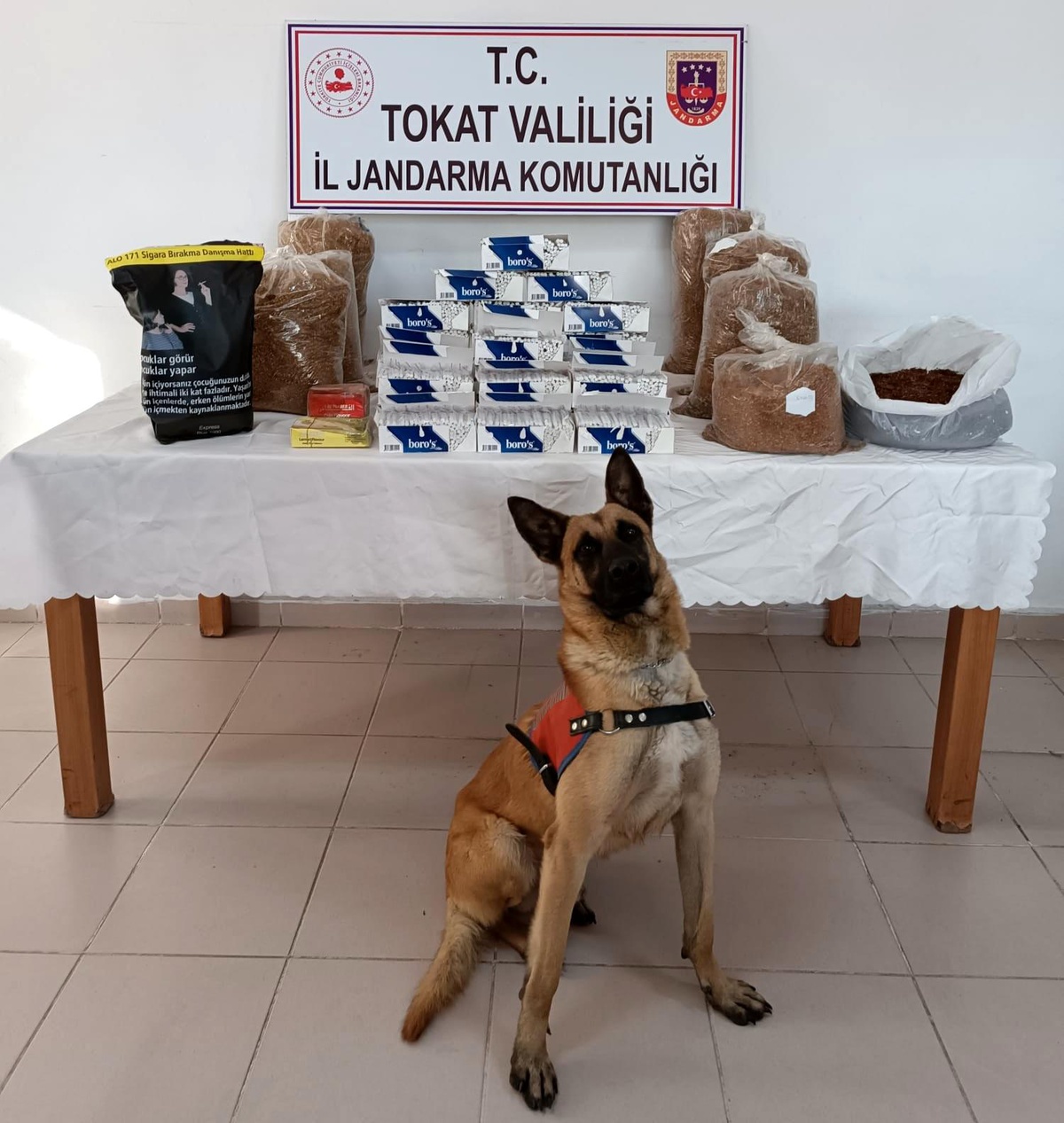 Tokat\'ta tütün kaçakçılığı operasyonunda 2 şüpheli gözaltına alındı