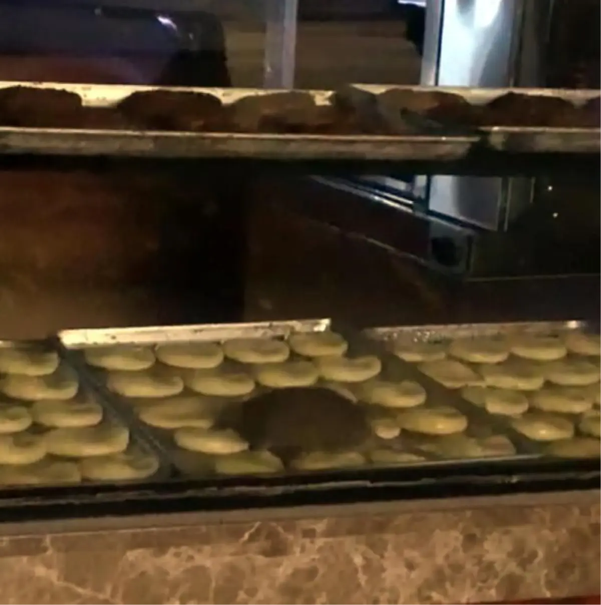 YİYECEKLERİN ÜZERİNDE FARE GEZEN İŞLETME MÜHÜRLENDİ