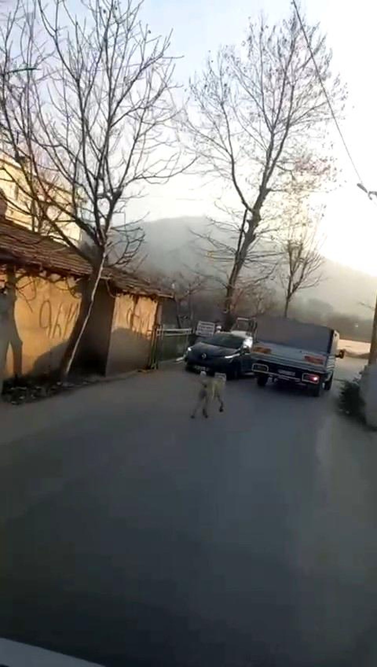 Bursa\'da kamyonete bağladığı köpeğe eziyet ederek götürdü