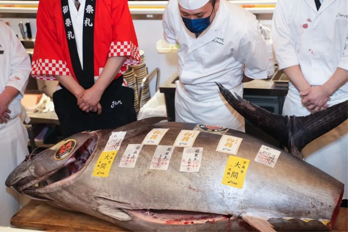 Japonya\'da Bir Ton Balığının Açık Artırmada Ne Kadara Satıldığını Tahmin Edebilir Misiniz?