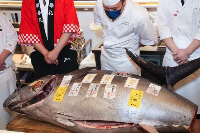 Japonya'da Bir Ton Balığının Açık Artırmada Ne Kadara Satıldığını Tahmin Edebilir Misiniz?