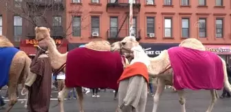 ABD'de 'Üç Kral günü' geçit töreni düzenlendi