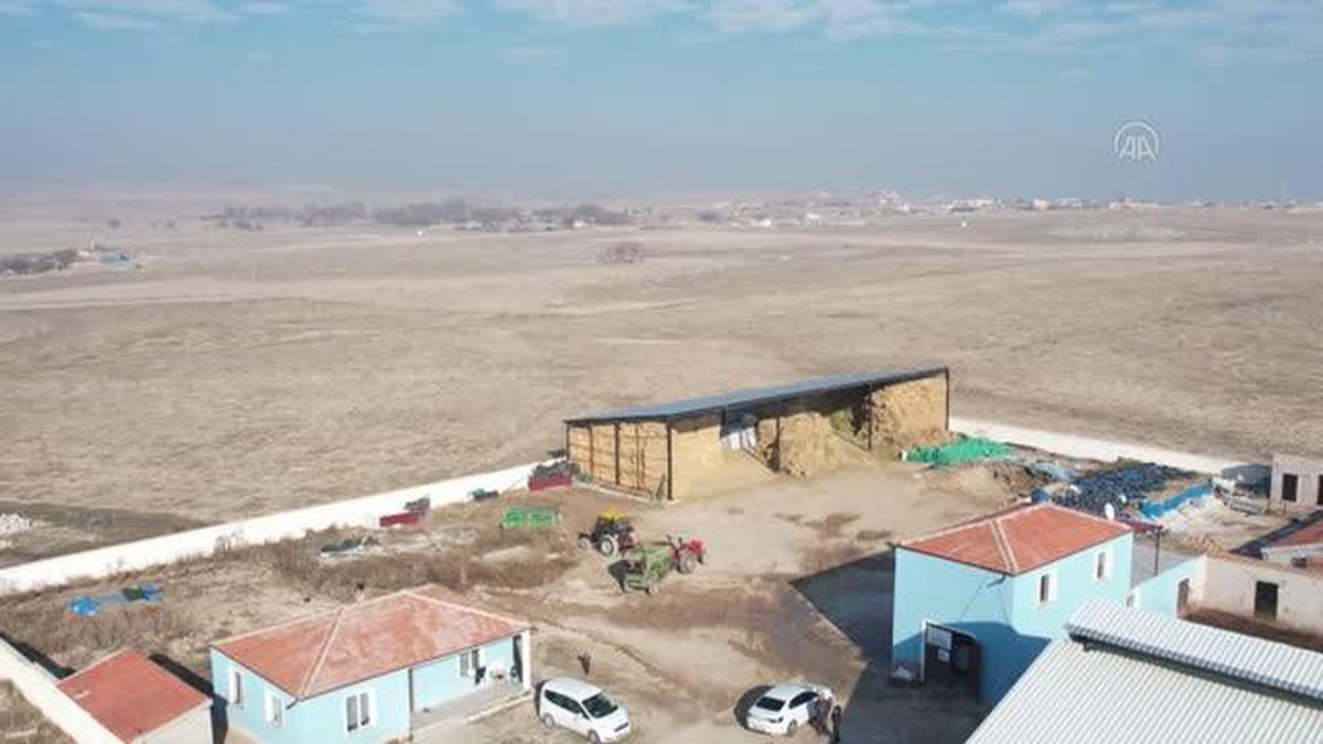 Aksaray'da hastalıktan ari işletme çalışmaları