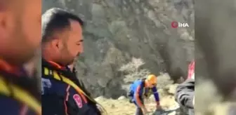Kayalıklarda 5 gün boyunca mahsur kalan keçileri AFAD kurtardı
