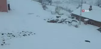 Posof kara teslim oldu