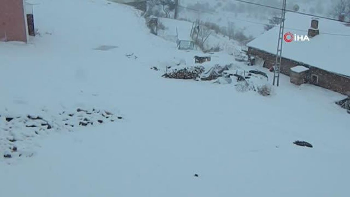 Posof kara teslim oldu