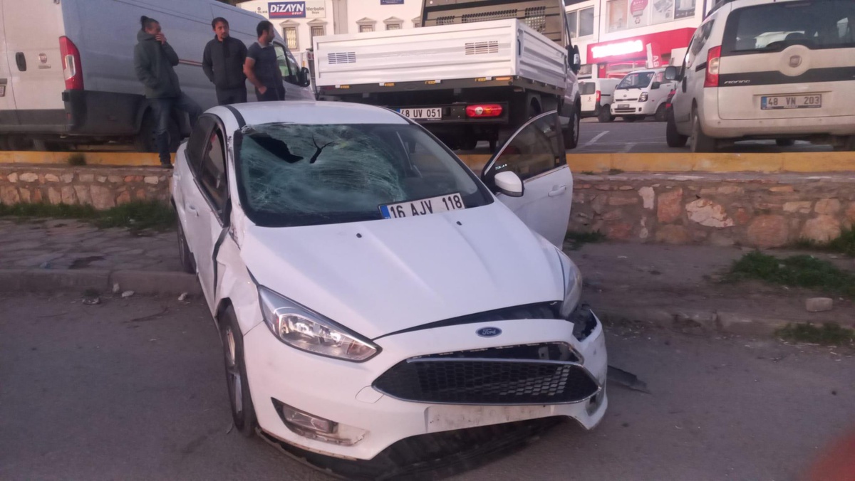 Bodrum\'da otomobilin çarptığı atın telef olduğu kazada 2 kişi yaralandı