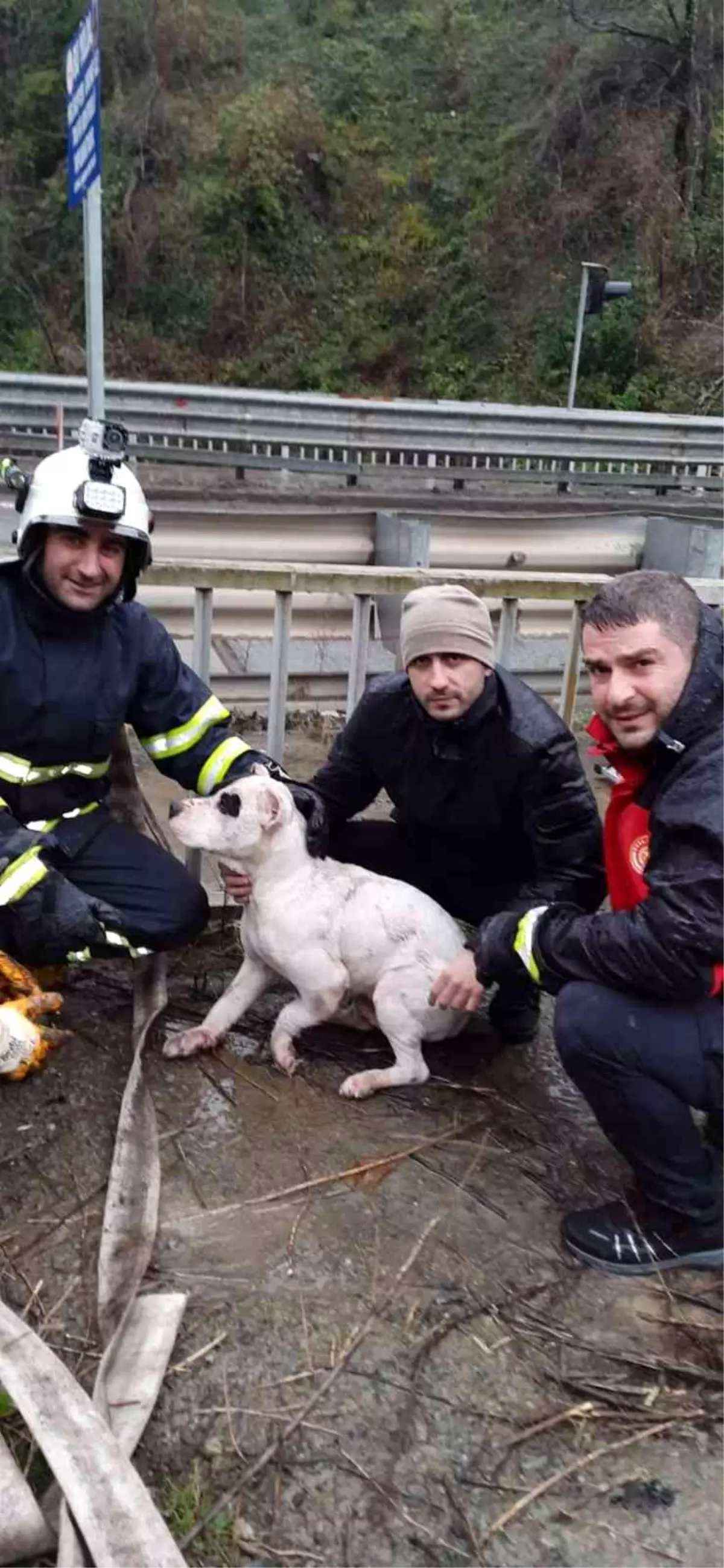 Dereye düşen köpeği itfaiye ekipleri kurtardı