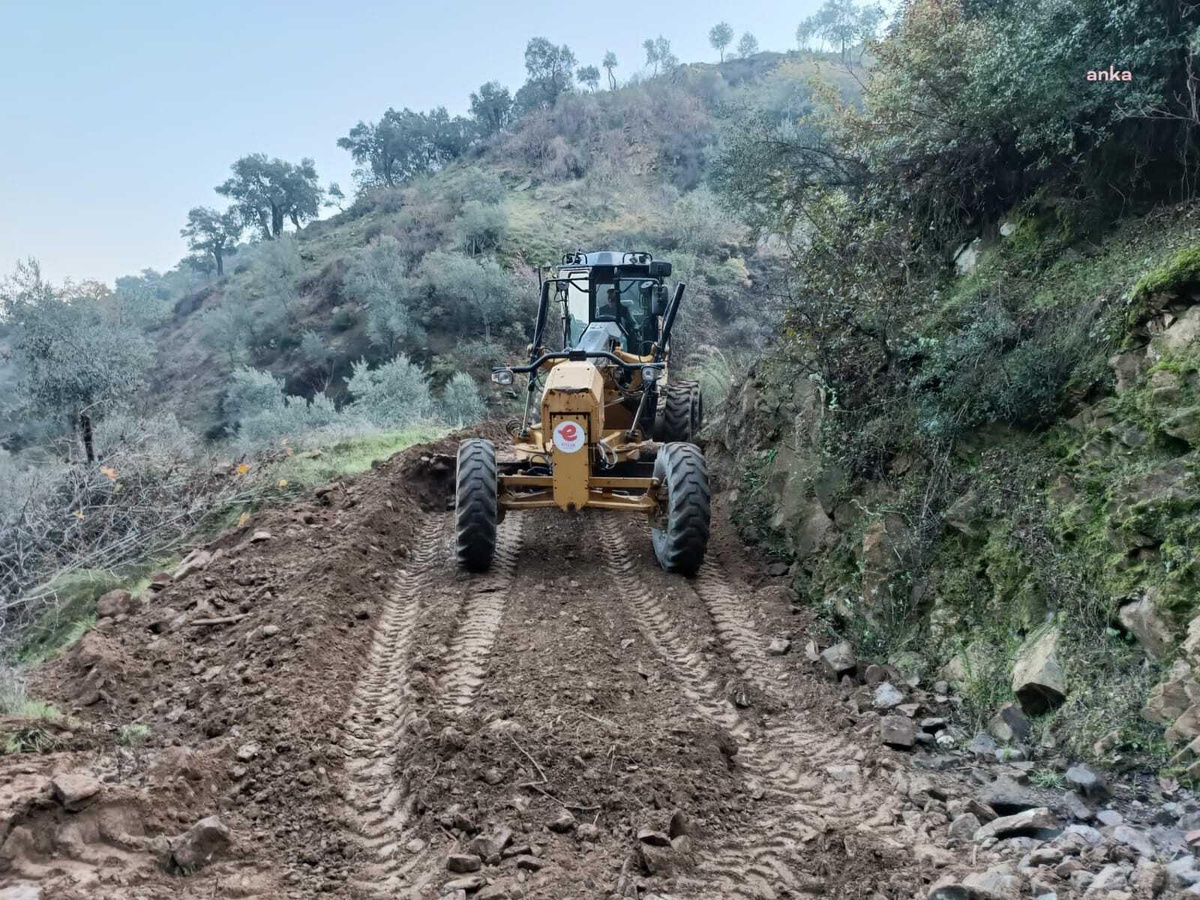 Efeler Belediyesi\'nden Zeytincilikle Uğraşan Yurttaşa Yol Desteği