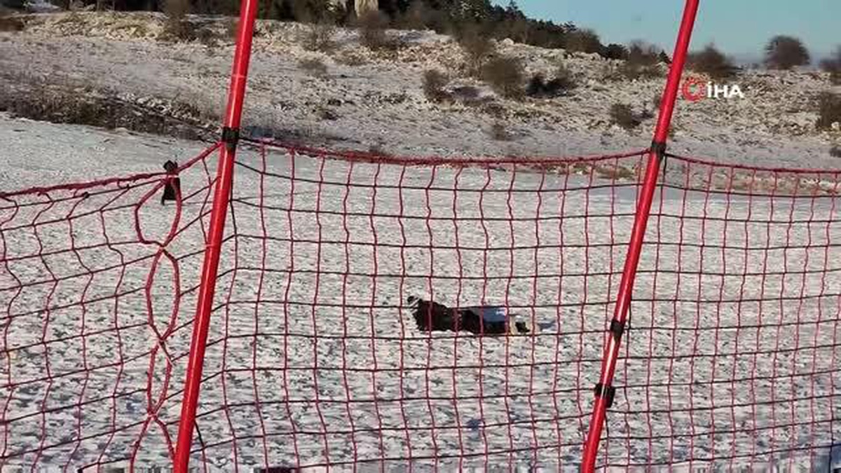 Kar için 2 bin rakımlı zirveye çıktılar