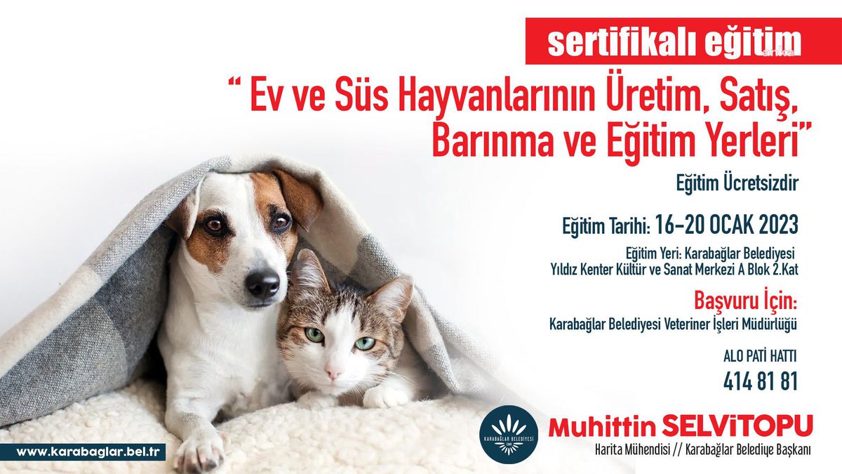 Karabağlar\'da Evcil Hayvan Satıcılarına Ücretsiz Eğitim Verilecek