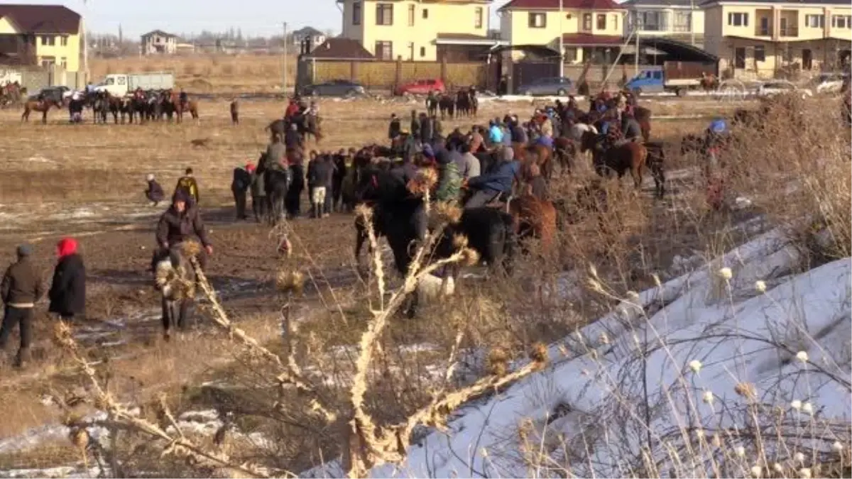 Kırgızların atlı spor tutkusu: Kökbörü