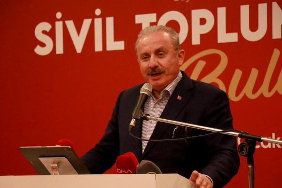 TBMM Başkanı Şentop: Türkiye\'nin dostluğu kıymetlidir düşmanlığı da çok tehlikelidir (3)