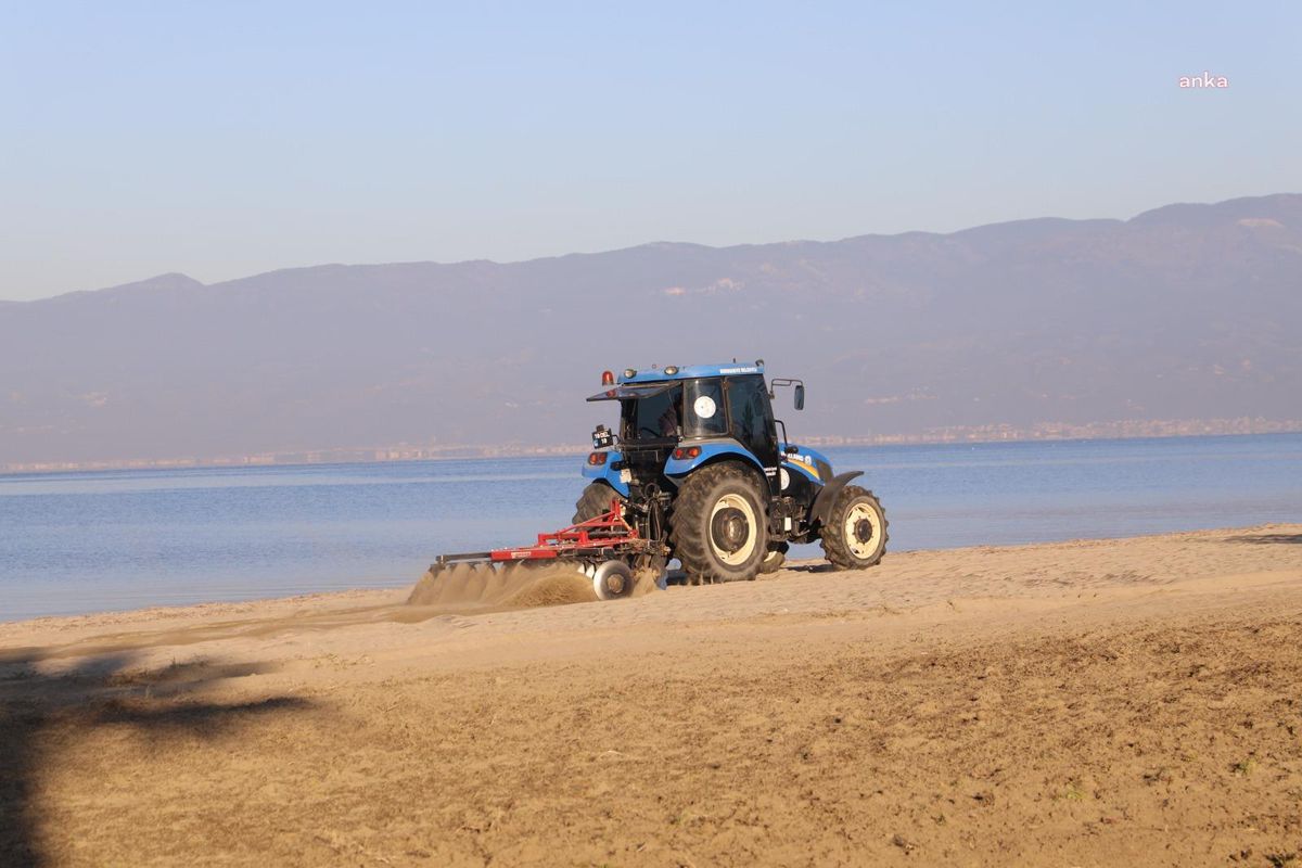 Burhaniye Belediyesi Plajları Düzenleniyor