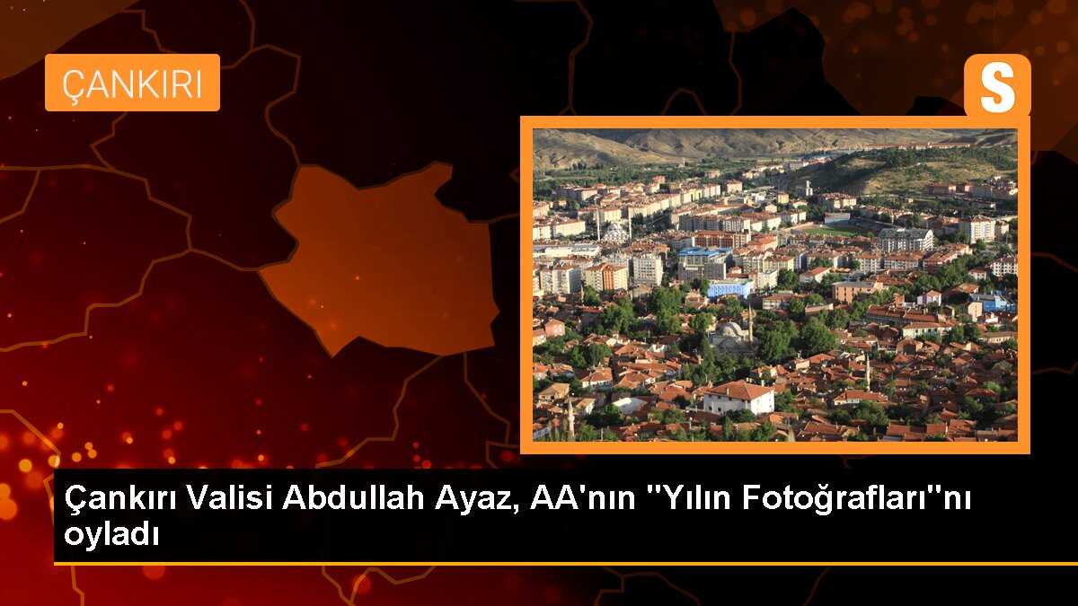 Çankırı Valisi Abdullah Ayaz, AA\'nın "Yılın Fotoğrafları"nı oyladı