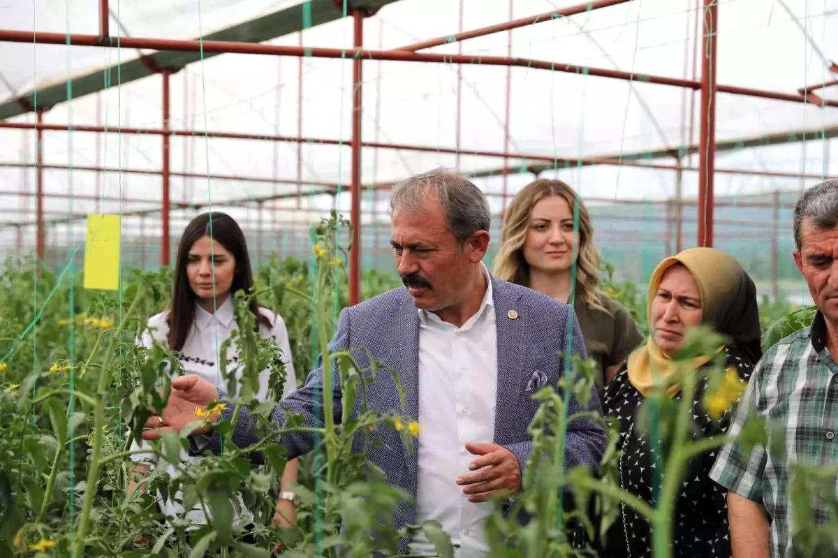 Çiftçiler için yeni destek ve imkanlar hayata geçirildi