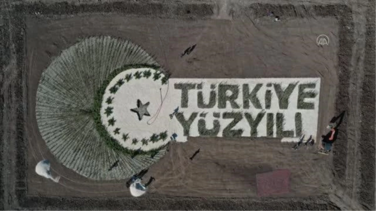 GAZAİANTEP - 100 bin fidanla "Türkiye Yüzyılı" logosu oluşturuldu