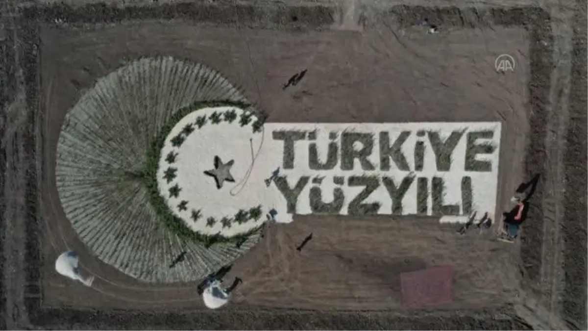 GAZAİANTEP - 100 bin fidanla "Türkiye Yüzyılı" logosu oluşturuldu