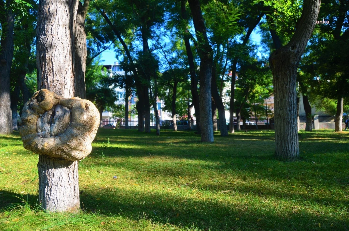 Lüleburgaz Belediyesi\'nin Geri Dönüşüm Çalışmaları ile 170 Ağaç Kesilmekten Kurtuldu