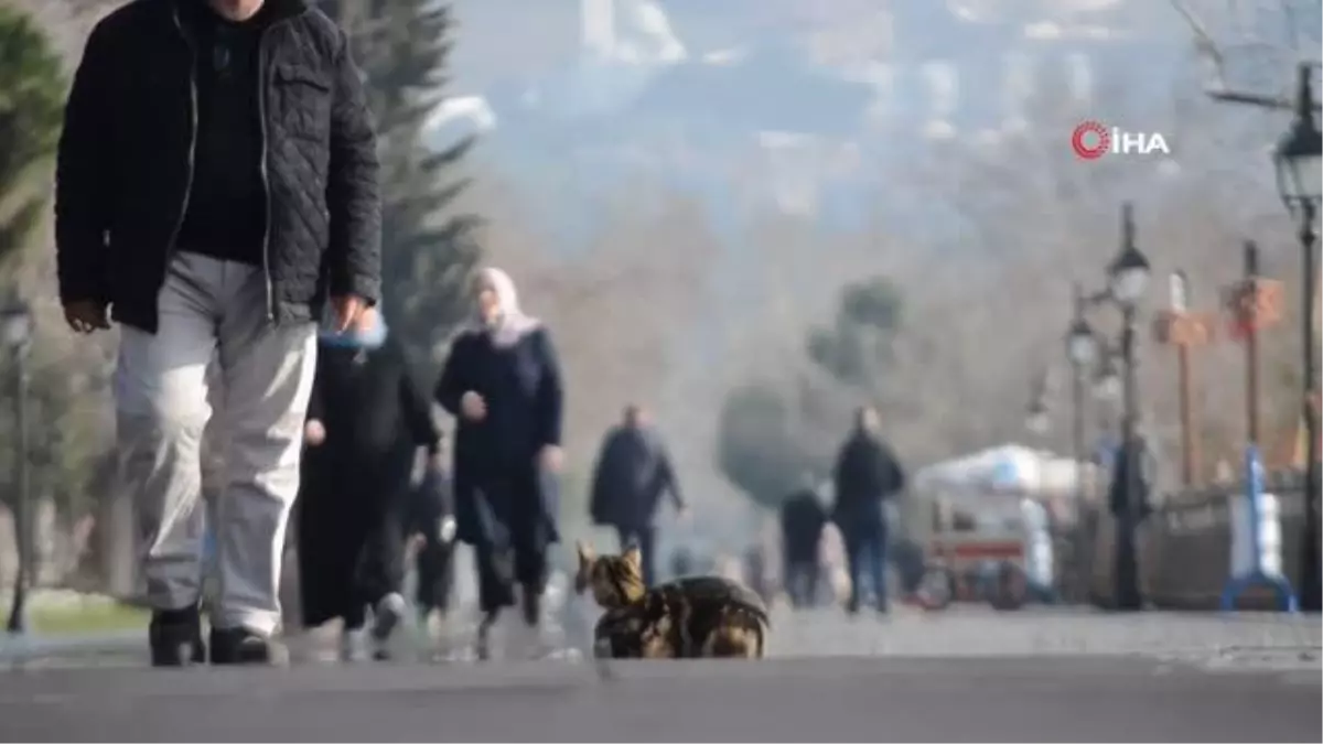 Tekirdağ Ocak ayında bahar mevsimini yaşıyor