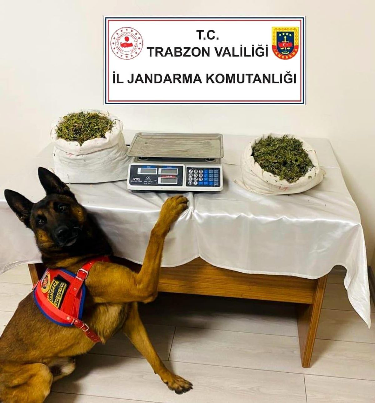 Trabzon\'da uyuşturucu operasyonu: 1 tutuklama