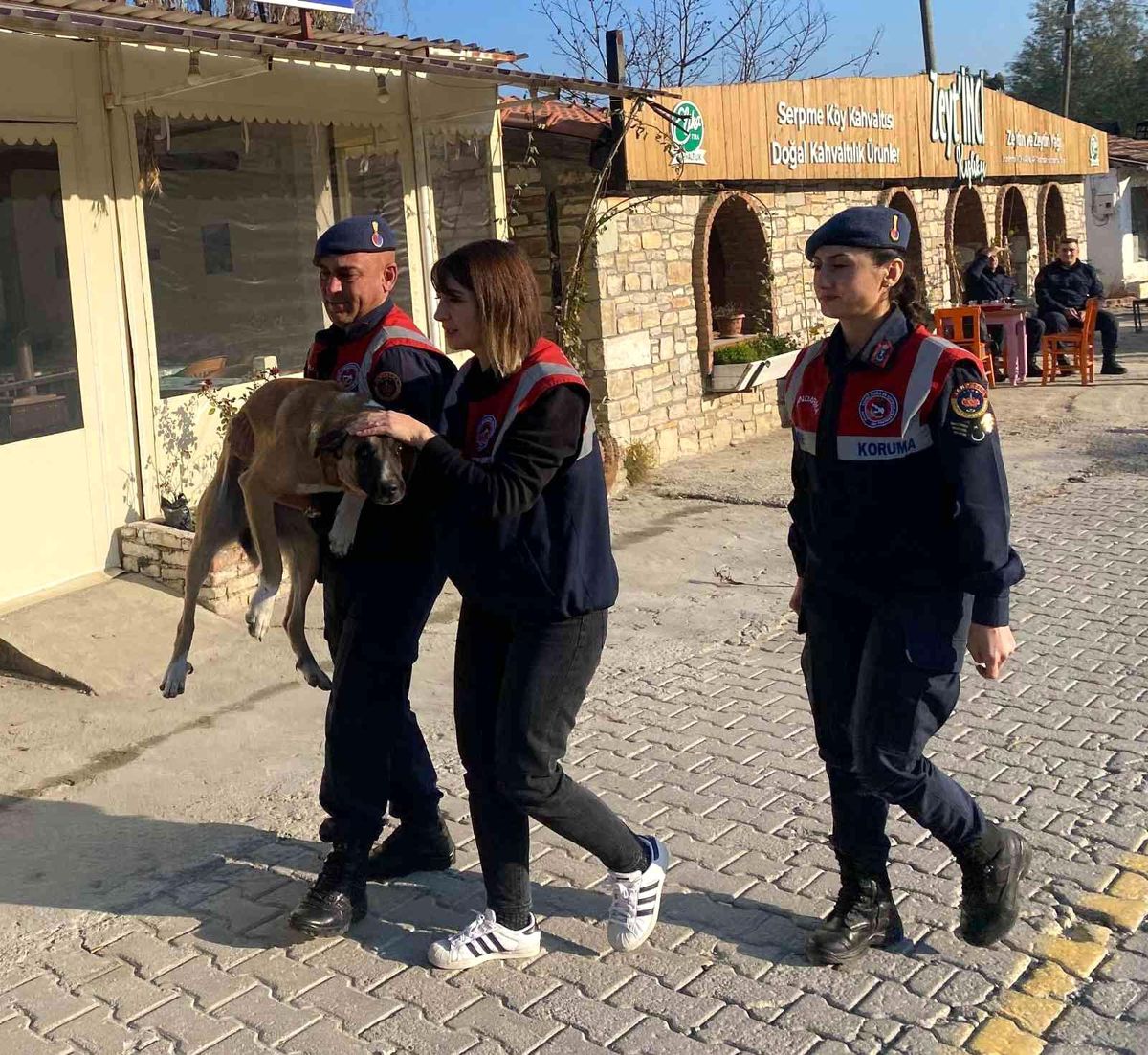 Yaralı köpek, jandarma tarafından kurtarıldı