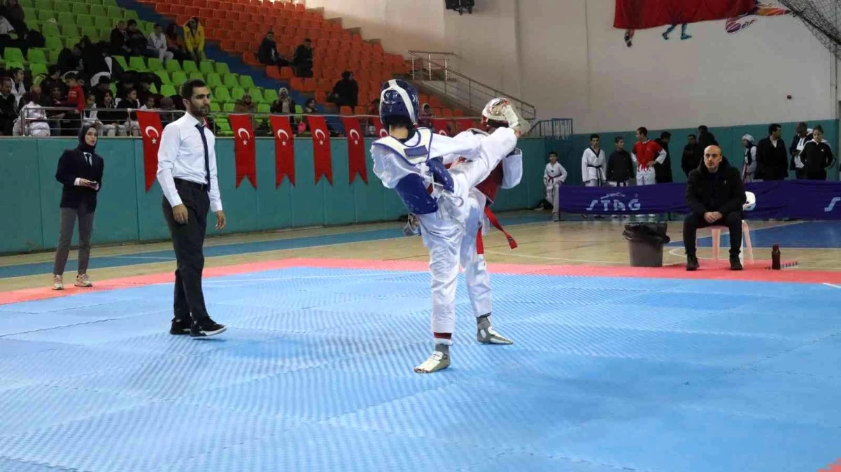 Taekwondo il şampiyonası Elazığ\'da başladı