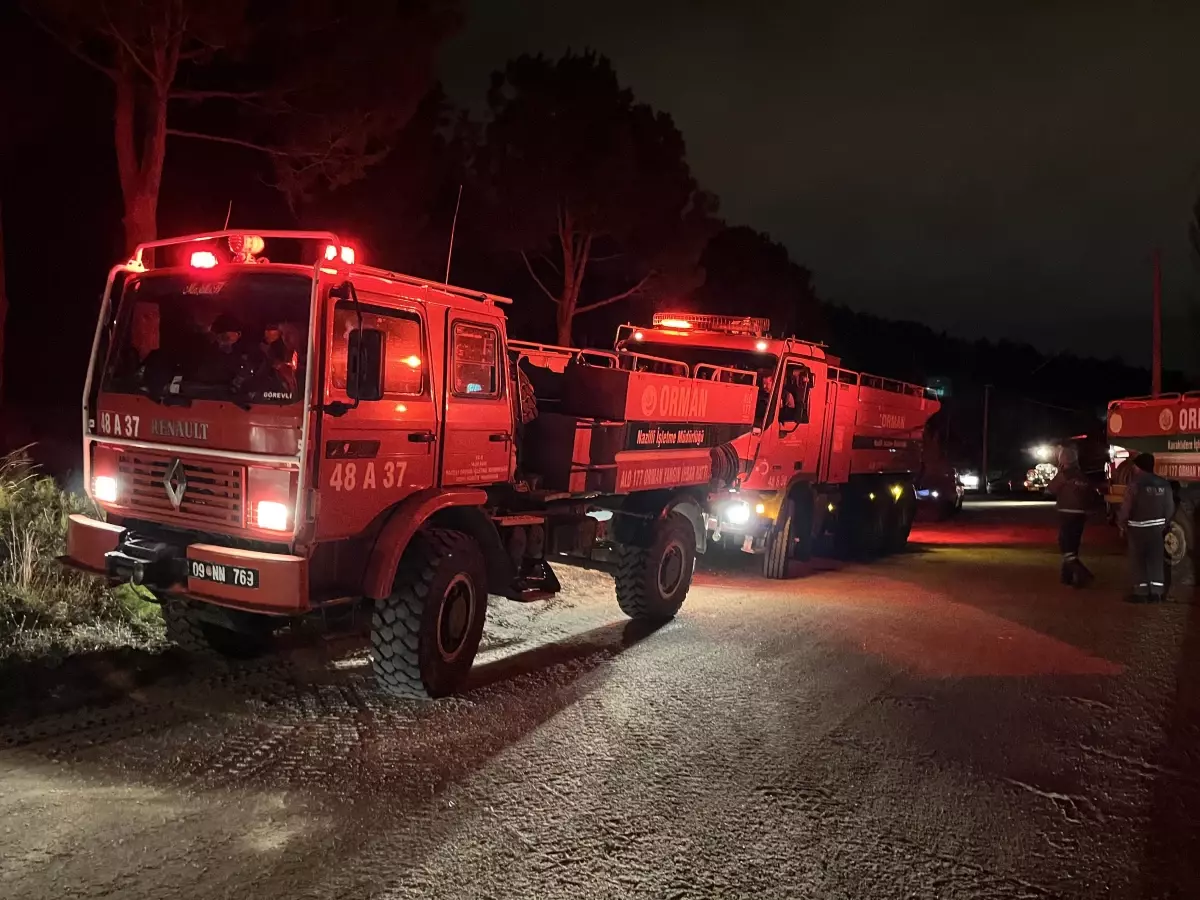 Denizli\'de çıkan orman yangını kontrol altına alındı