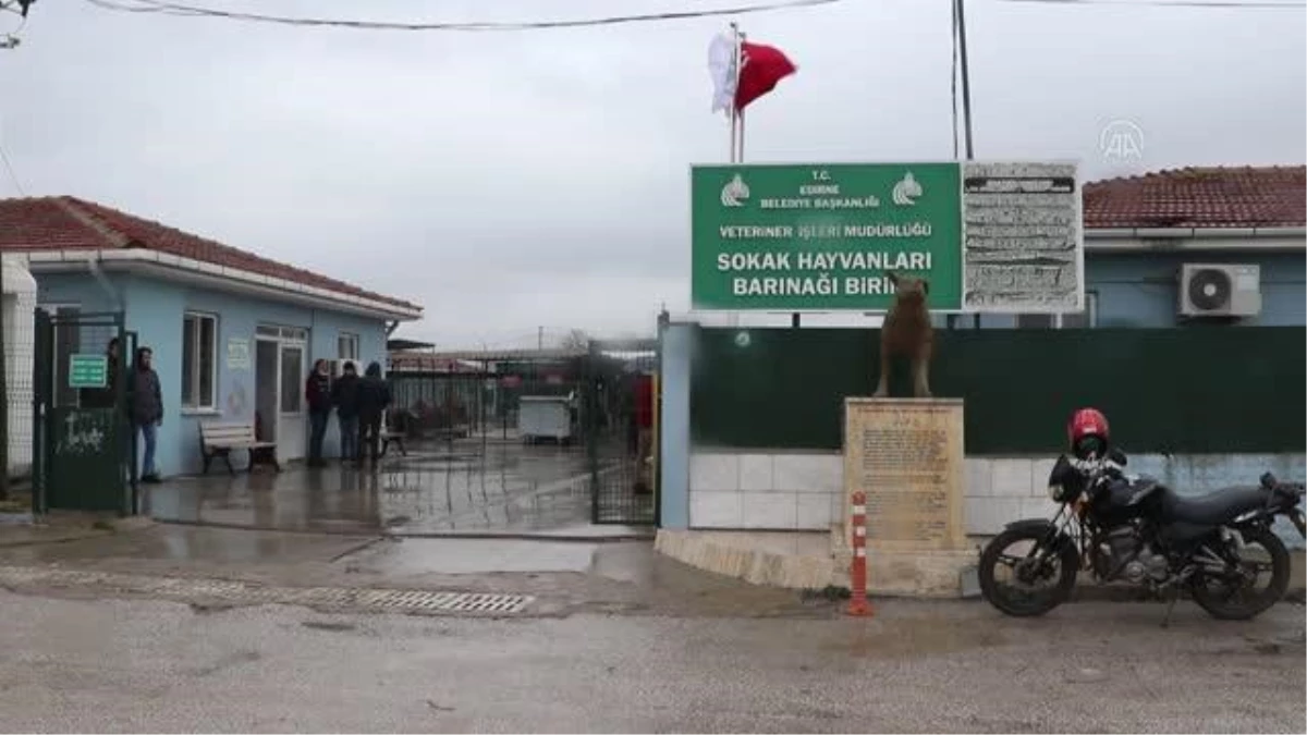 Edirne Belediye Başkanı Gürkan sahipsiz hayvanların sahiplenilmesi çağrısında bulundu