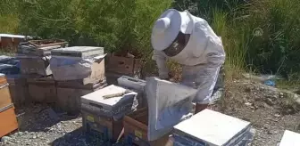 'Kozluk balı' için coğrafi işaret başvurusu yapıldı