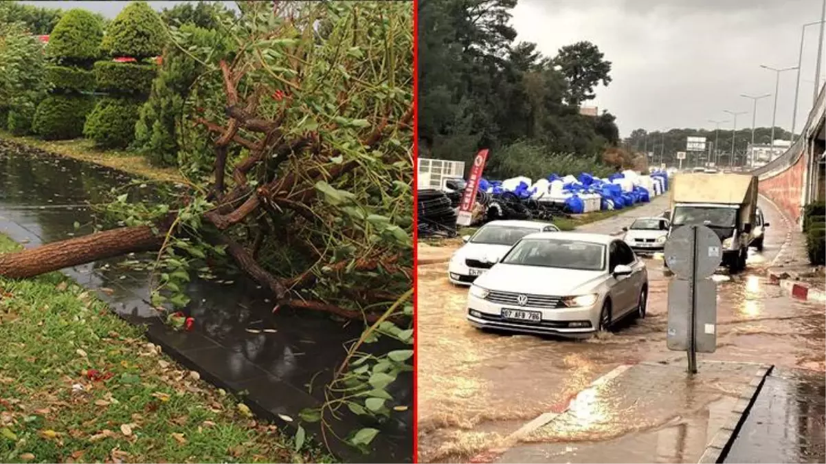 Yollar göle döndü, ağaçlar devrildi! Antalya\'da yağmur ve fırtına, hayatı durma noktasına getirdi