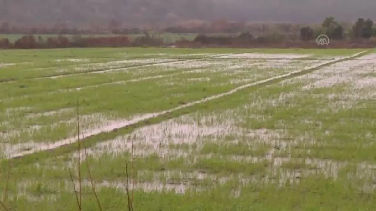 Hortum ve dolu seralara zarar verdi