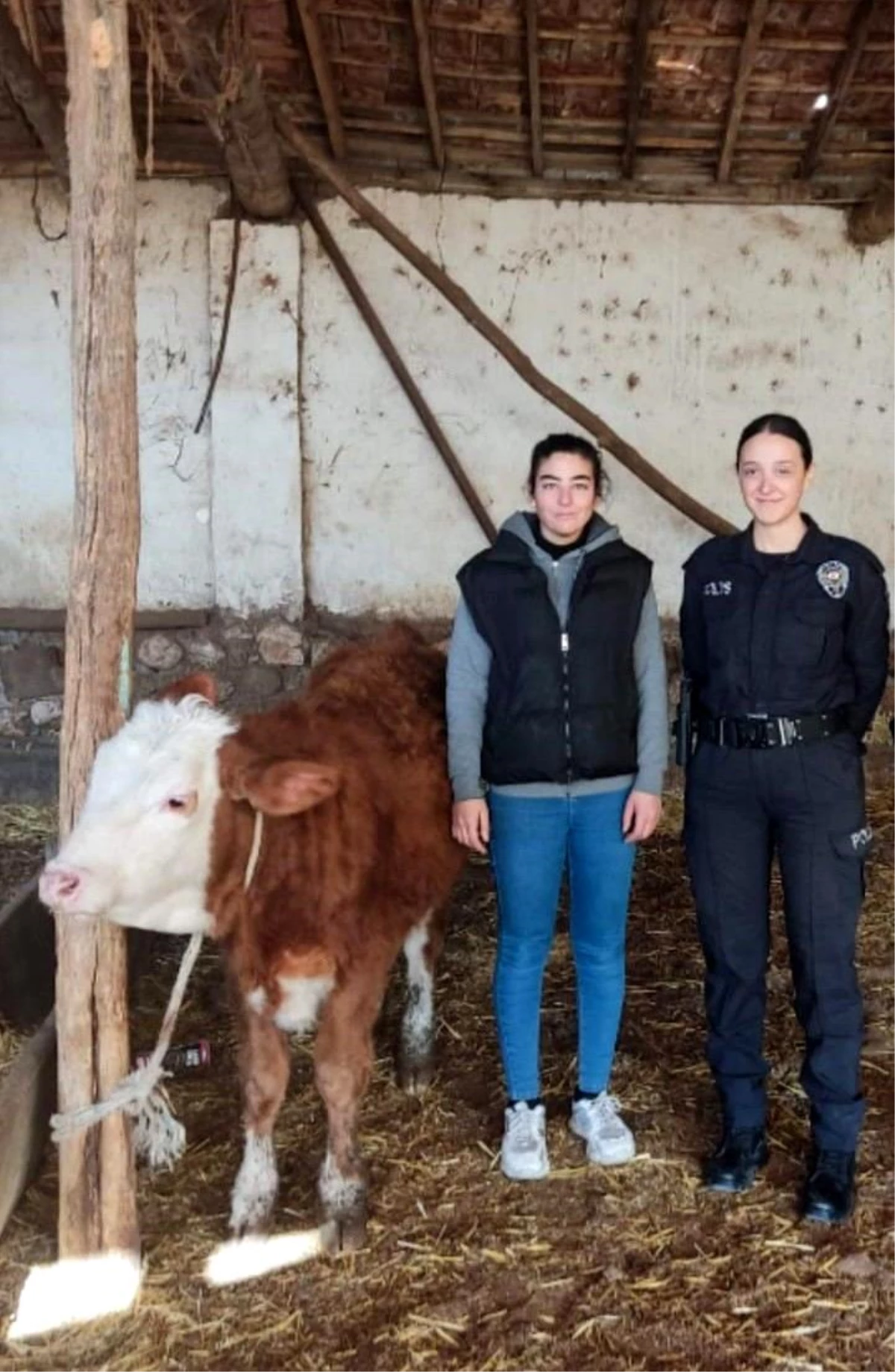 Isparta\'da kaybolan hediyelik düveyi polis buldu