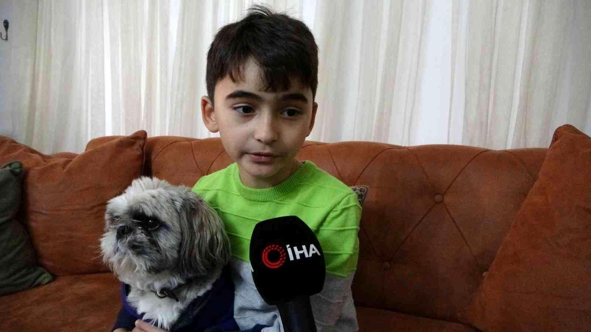 Pendik\'te okula giden 10 yaşındaki çocuğu sokak köpekleri saldırdı