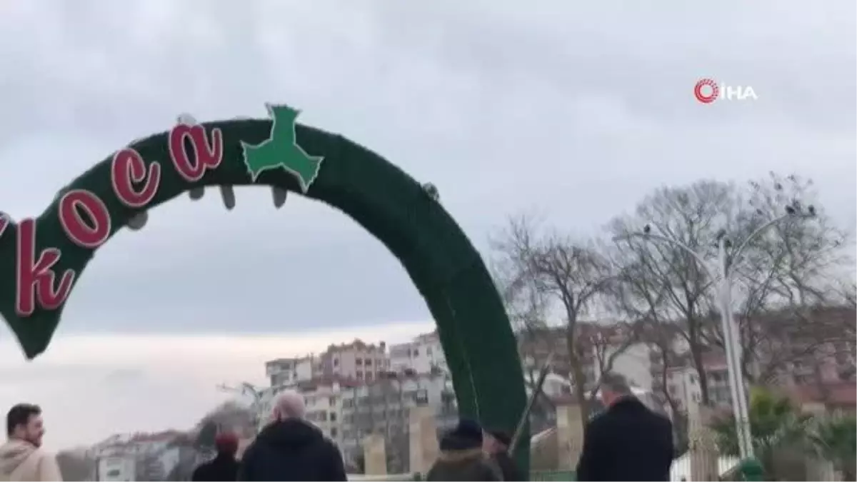 Reklam panosunda mahsur kalan kediyi kurtarmak için seferber oldular