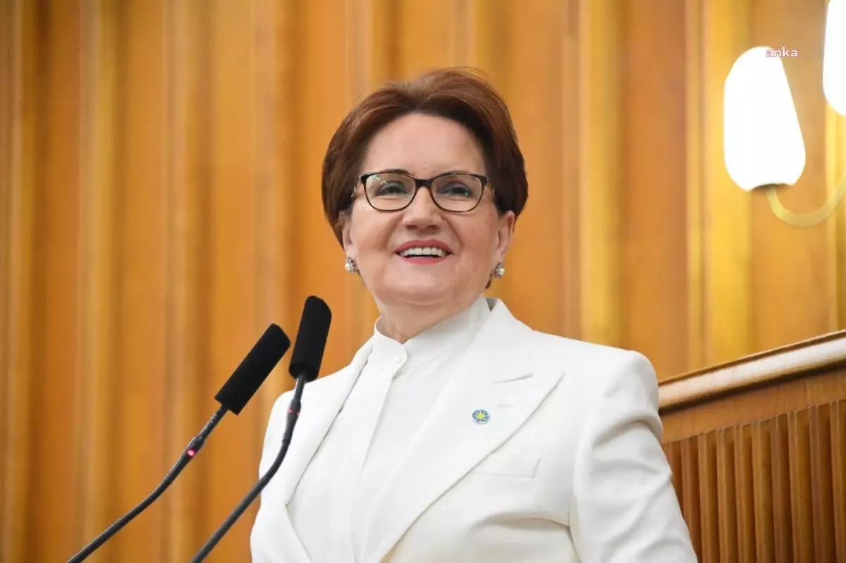 Taburcu edilen Akşener\'den ilk açıklama: Güneş yerinde, her şey yolunda