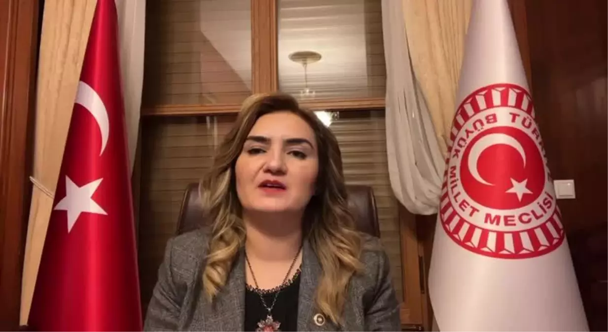 Sevda Erdan Kılıç: "Birçok Savunma Sanayi Şirketinden Binlerce Mühendis Tehdit ve Haksız İşten Çıkarmalardan Dolayı Yurt Dışına Gidiyor"