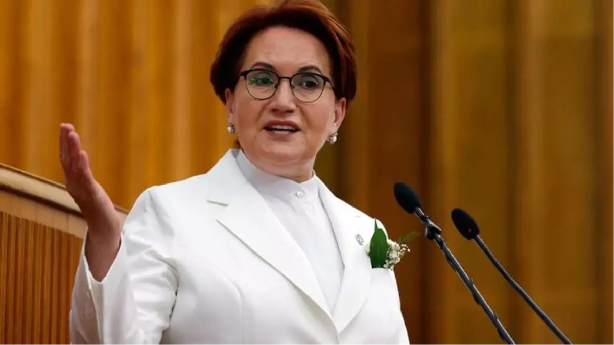 Taburcu edilen Akşener\'den ilk açıklama: Güneş yerinde, her şey yolunda