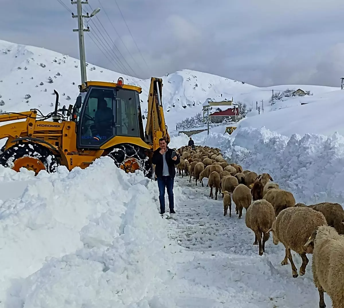 Yaylada 300 küçükbaş ile 3 gündür mahsur kalan aileyi belediye ekipleri kurtardı